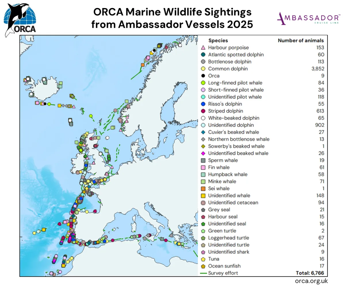 ORCA Ambassador marine wildlife sightings 2025