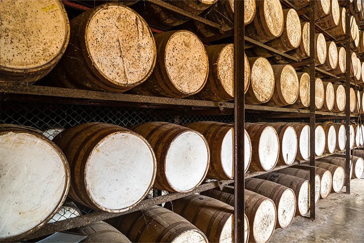 Shelves with oak rum barrels stored for ageing in a Jamaican distillery