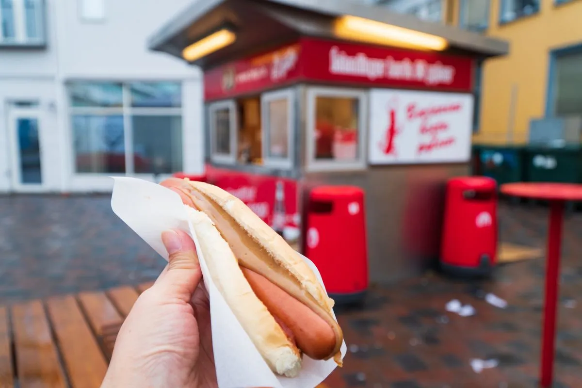 Icelandic Hot Dog