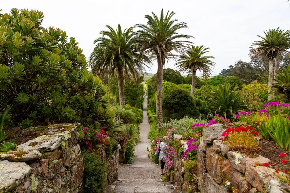 A stone pathway leads through lush greenery and vibrant flowers, flanked by tall palm trees under a cloudy sky.