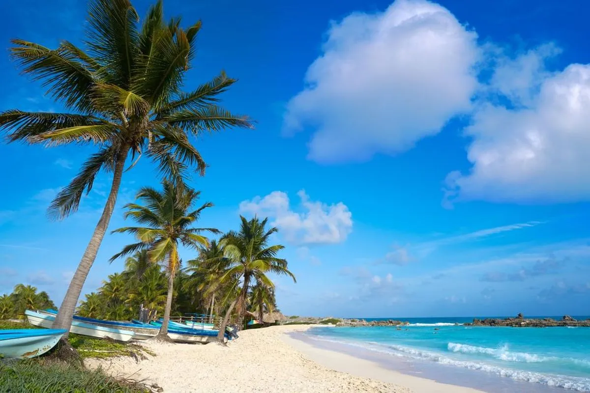 Tropical beach scene with palm trees in Mexico