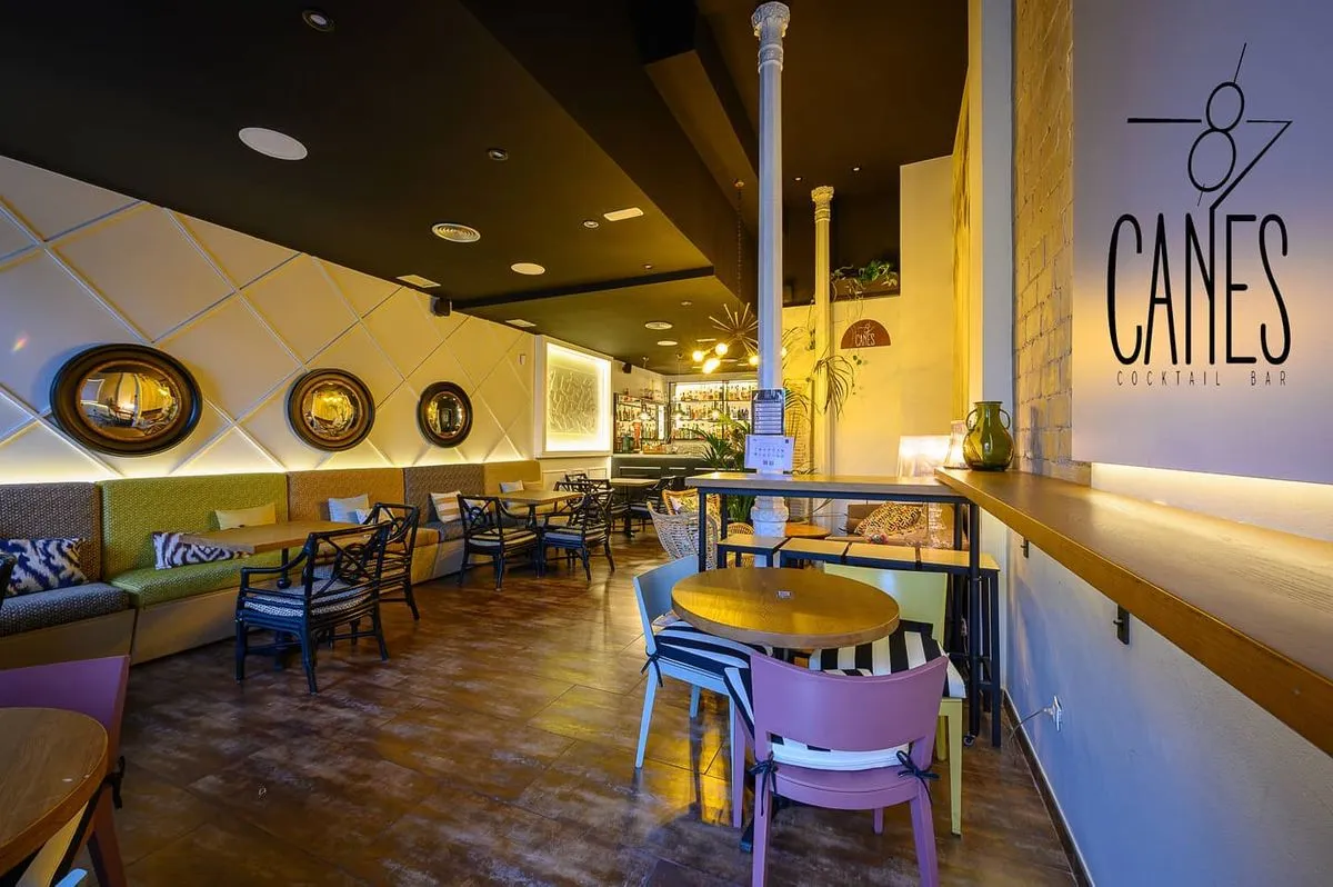 8 Canes in Last Palmas