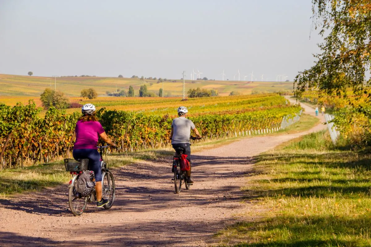A couple riding the bike through the vineyard