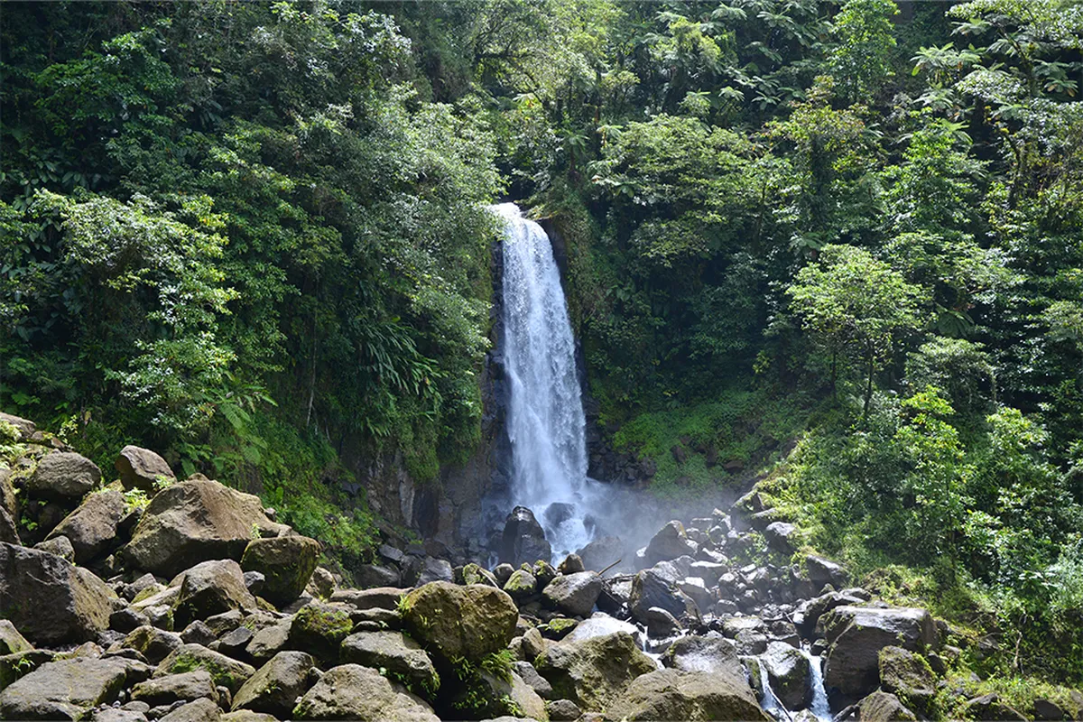 Trafalgar Falls waterfall at Roseau, Dominica island rainforest, Caribbean.