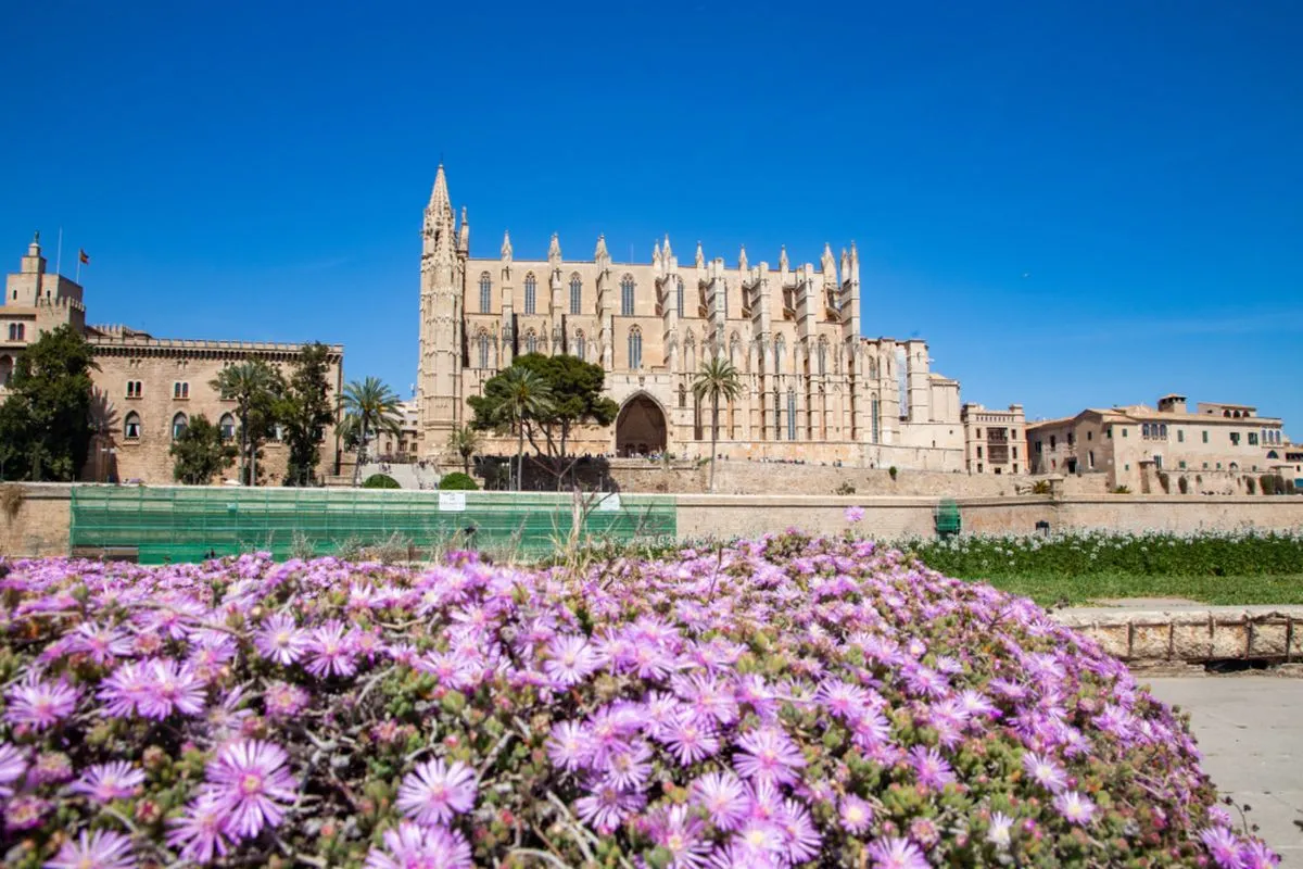 Catedral-Basílica de Santa María de Mallorca