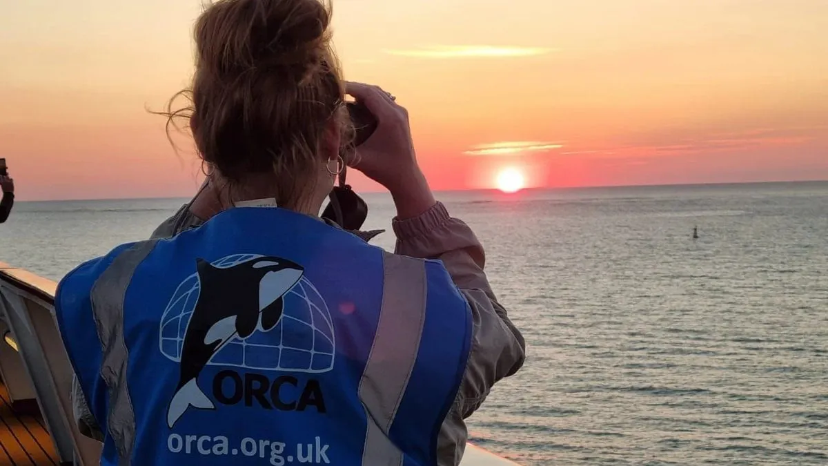 ORCA wildlife sightings: dolphins, whales and more