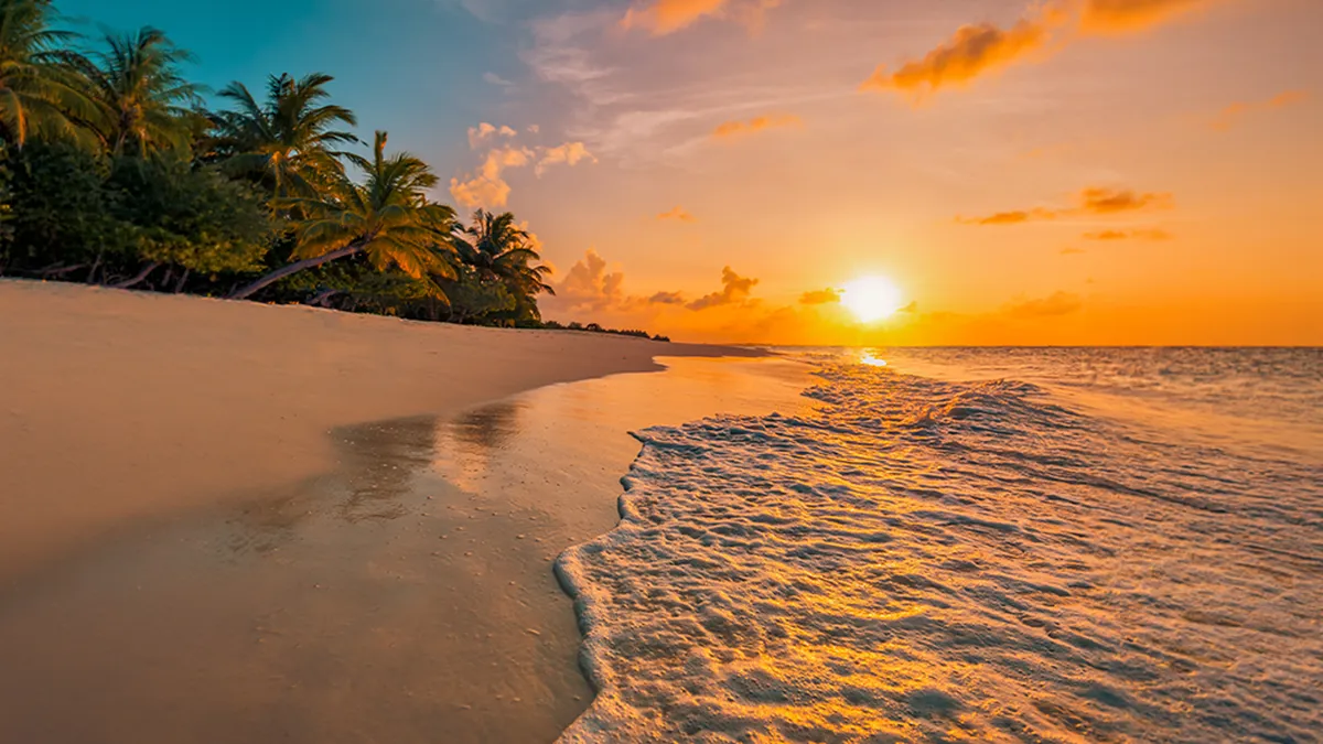 Beautiful panoramic sunset tropical paradise beach. Tranquil summer vacation or holiday landscape. Tropical sunset beach seaside palm calm sea panorama exotic nature view inspirational seascape scenic