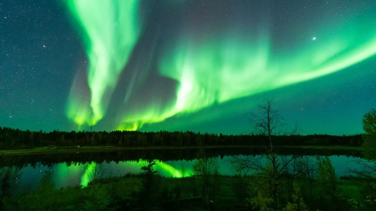 Northern Lights dancing over fir trees and a lake