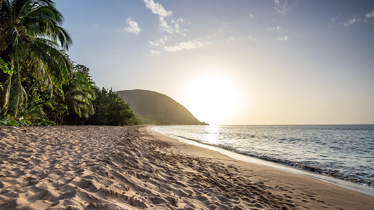 Guadeloupe, a Caribbean island in the French Antilles. View over Grande Anse beach. Lonely bay, feet in the sand and looking out to sea at sunset. Landscape shot of a tropical dream, waves, palm trees