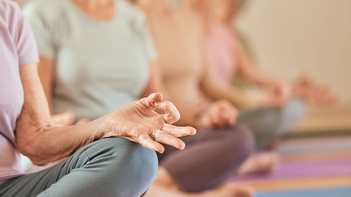 Yoga class, senior woman and meditation with lotus hands of fitness group together for exercise, chakra workout and wellness training in studio. Old people doing zen or spiritual practice for health