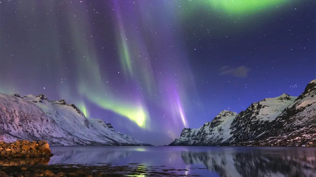 Aurora borealis lights up the night sky over snow-covered mountains and a calm fjord, reflecting vibrant green and purple hues in the water.