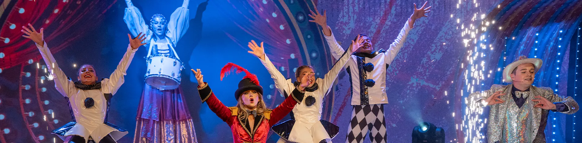 Entertainment - Cirque de Luminaire