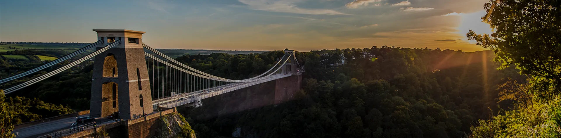 Suspension bridge spanning a wooded gorge in Bristol