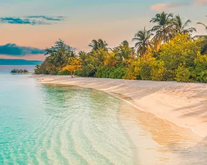 Caribbean Fly Cruises
