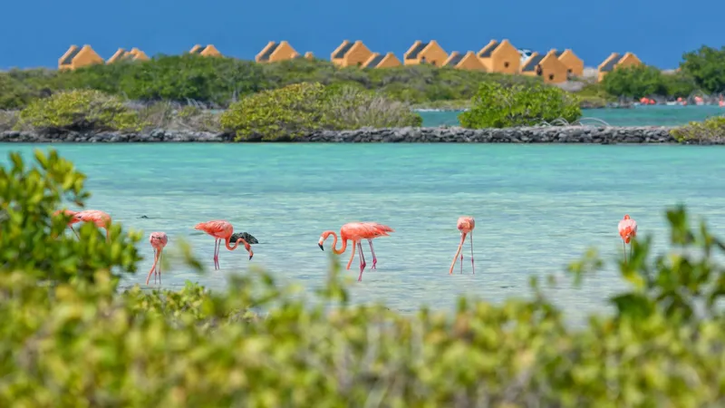 Kralendijk, Bonaire, Caribbean Islands