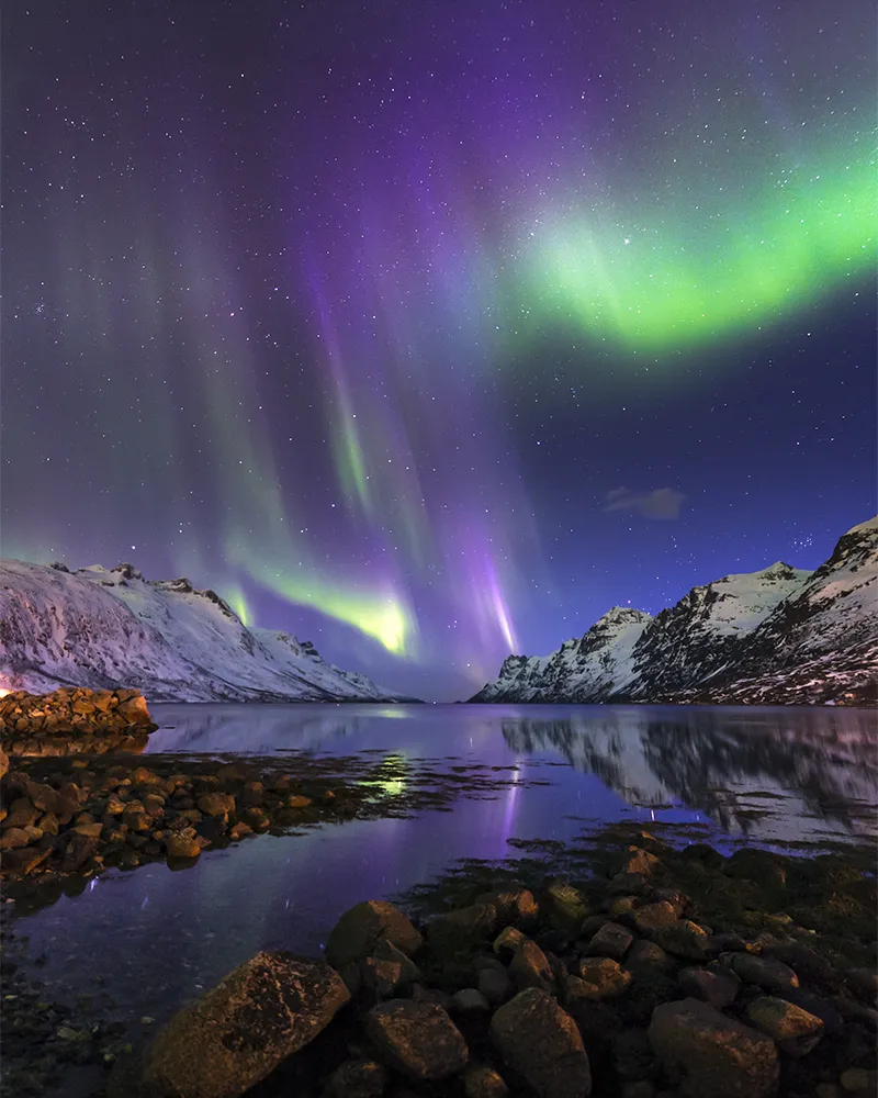 Aurora borealis lights up the night sky over snow-covered mountains and a calm fjord, reflecting vibrant green and purple hues in the water.
