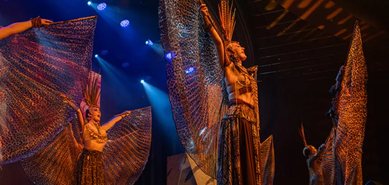 SHOW IN PALLADIUM ON AMBITION