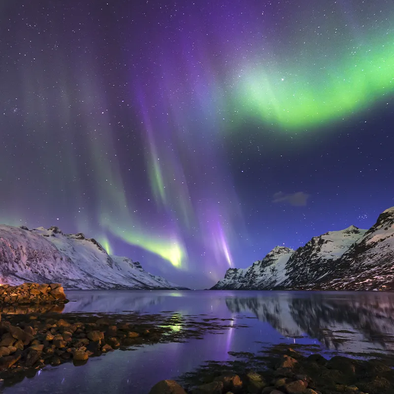 Aurora borealis lights up the night sky over snow-covered mountains and a calm fjord, reflecting vibrant green and purple hues in the water.