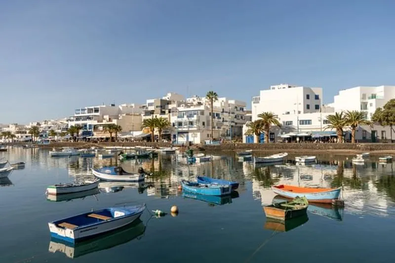 Small boats float on a calm harbor with white buildings and palm trees lining the shore of Arrecife, Tenerife