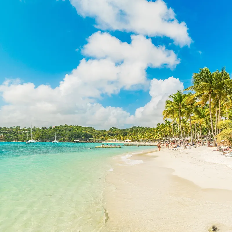 La Caravelle beach in Guadeloupe, French west indies. Lesser Antilles, Caribbean sea