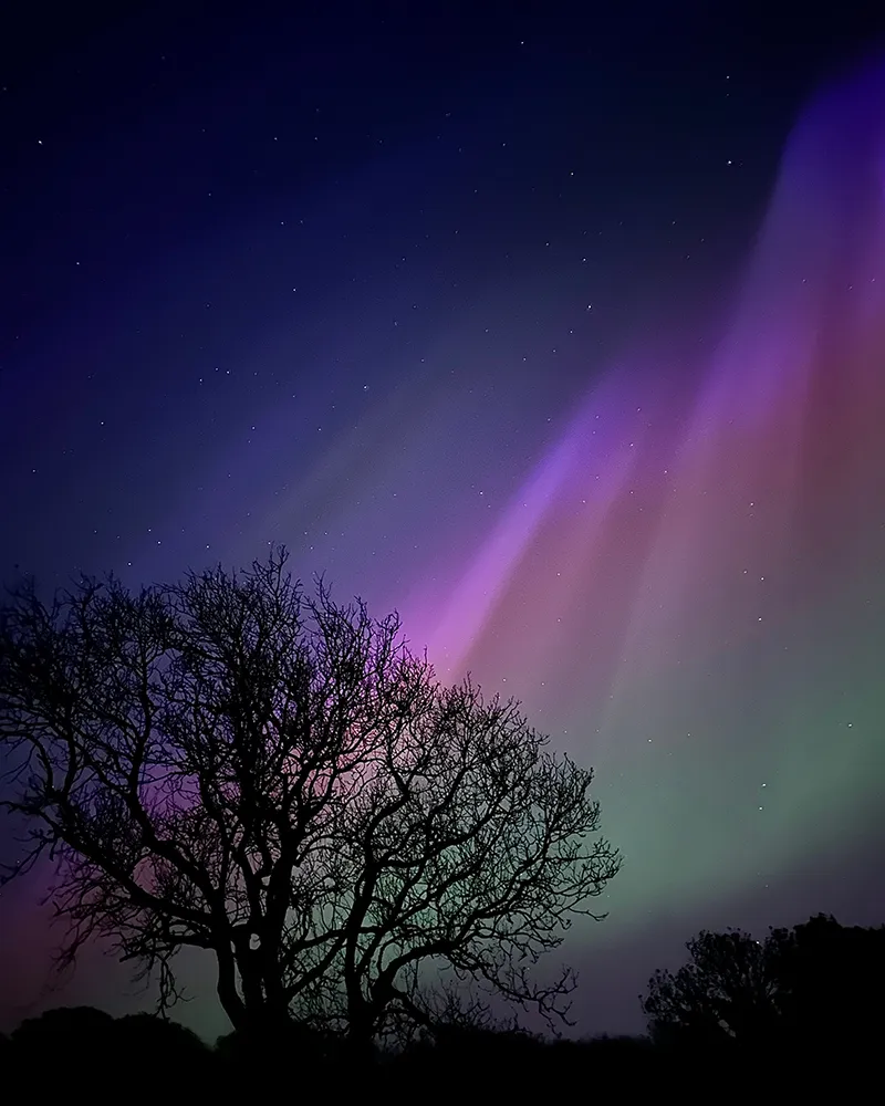 Northern Lights, UK