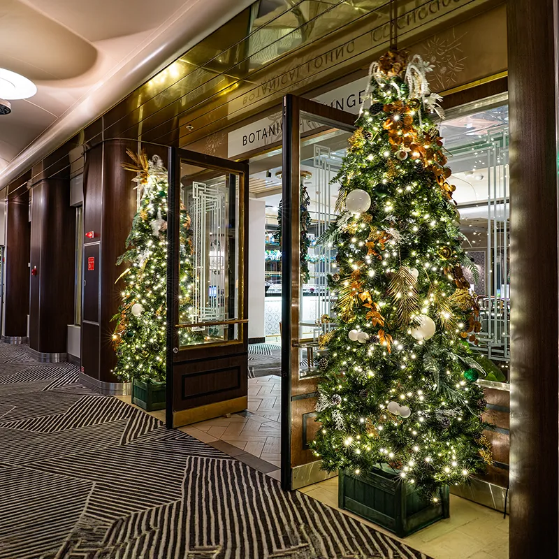 Decorated Christmas trees with lights and ornaments flank the entrance, onboard Ambience.