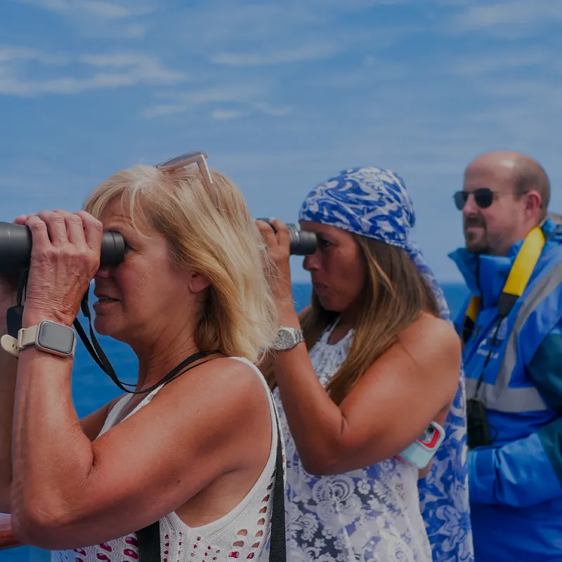 Three people on a boat look through binoculars at sea, wearing casual clothes and life jackets, with a clear blue sky in the background.