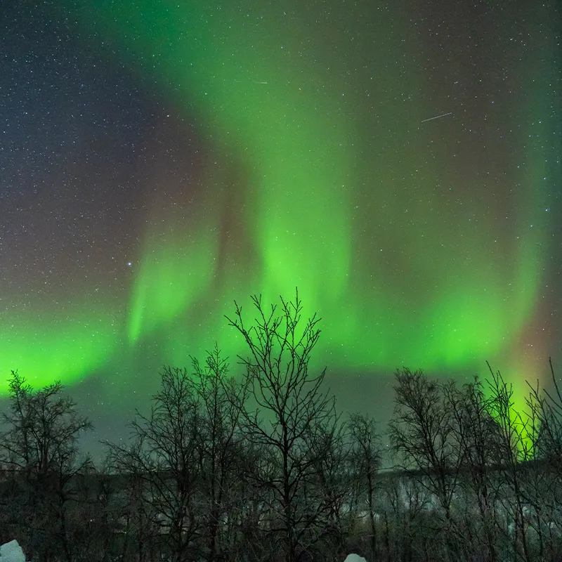 Northern Lights - Alta, Norway