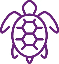 Sustainable & Ethical