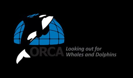 ORCA