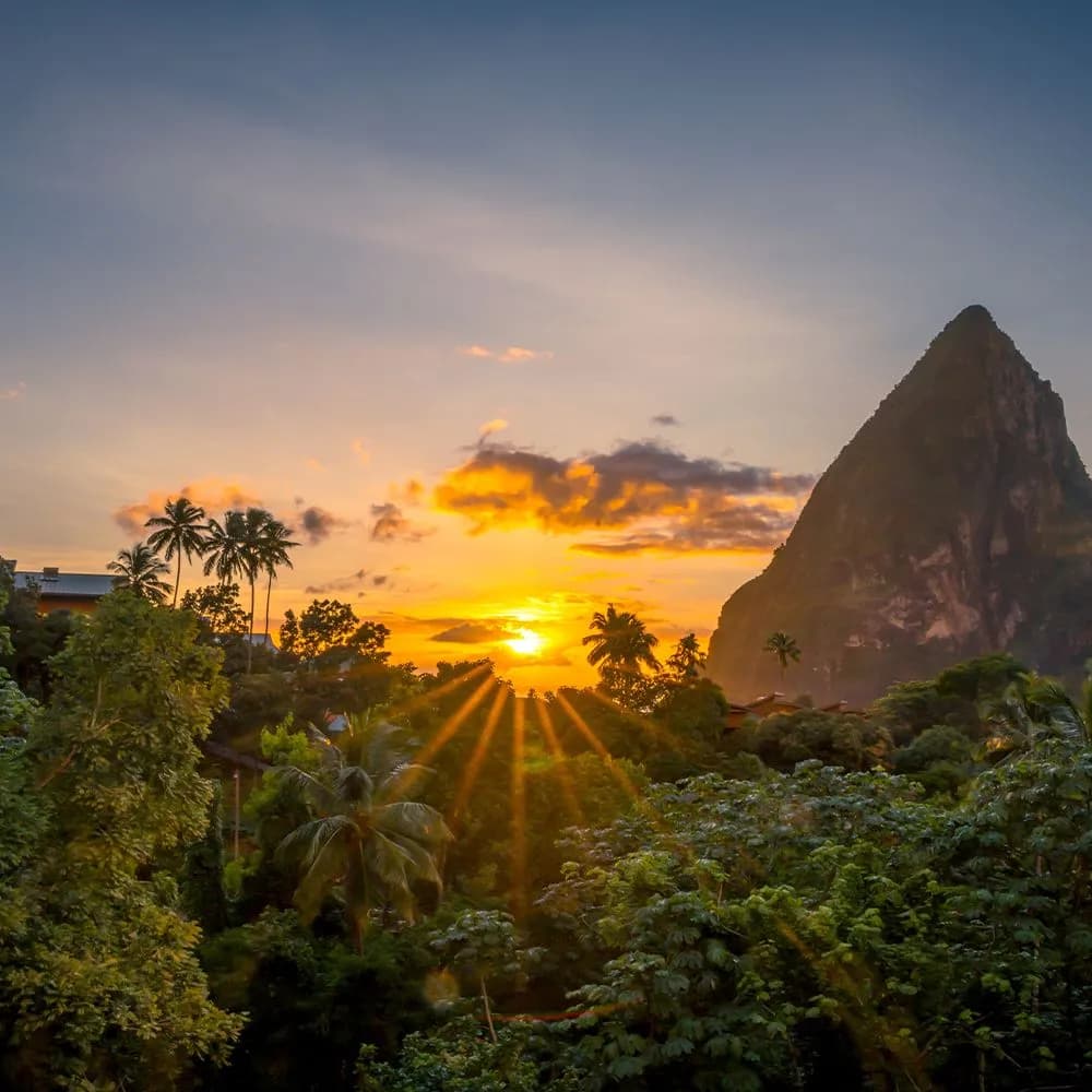 Sunset over lush greenery with a prominent mountain peak in the background, palm trees silhouetted against the vibrant sky in the Castries St Lucia