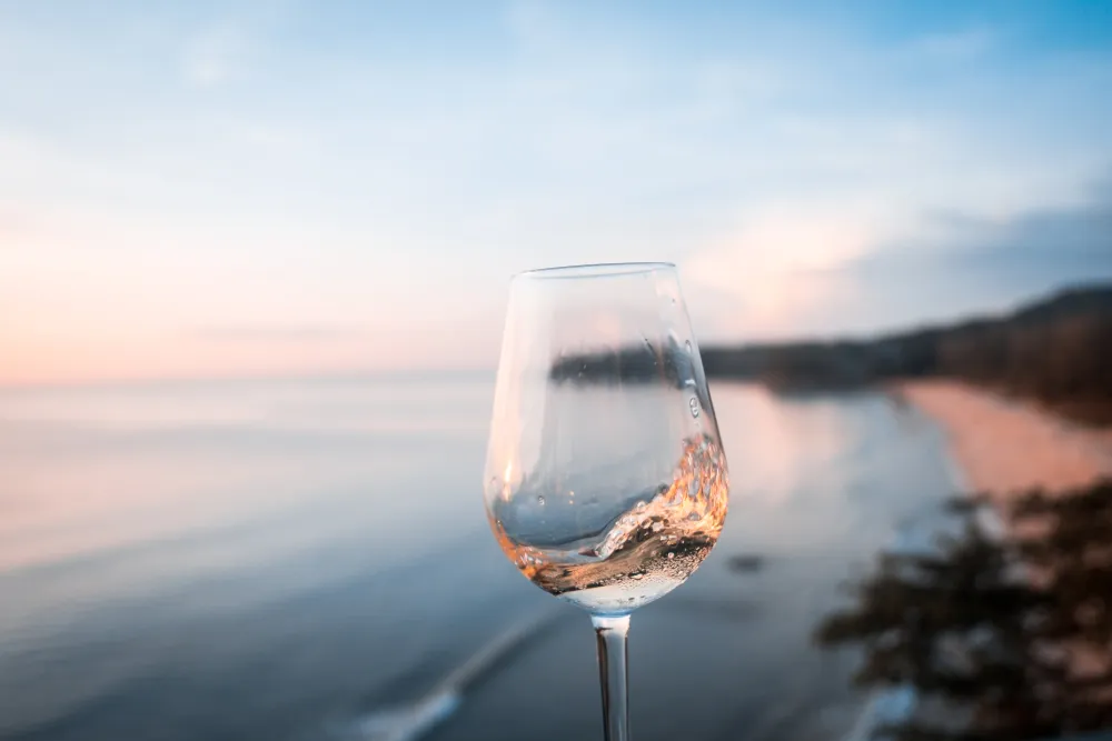 A glass of wine in front of a beach.
