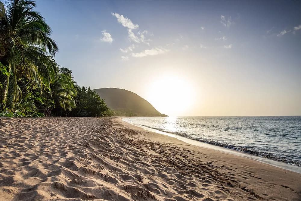 Guadeloupe, a Caribbean island in the French Antilles. View over Grande Anse beach. Lonely bay, feet in the sand and looking out to sea at sunset. Landscape shot of a tropical dream, waves, palm trees