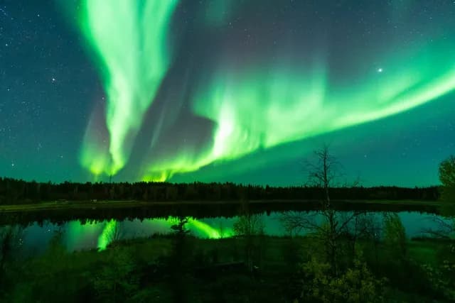Northern Lights dancing over fir trees and a lake