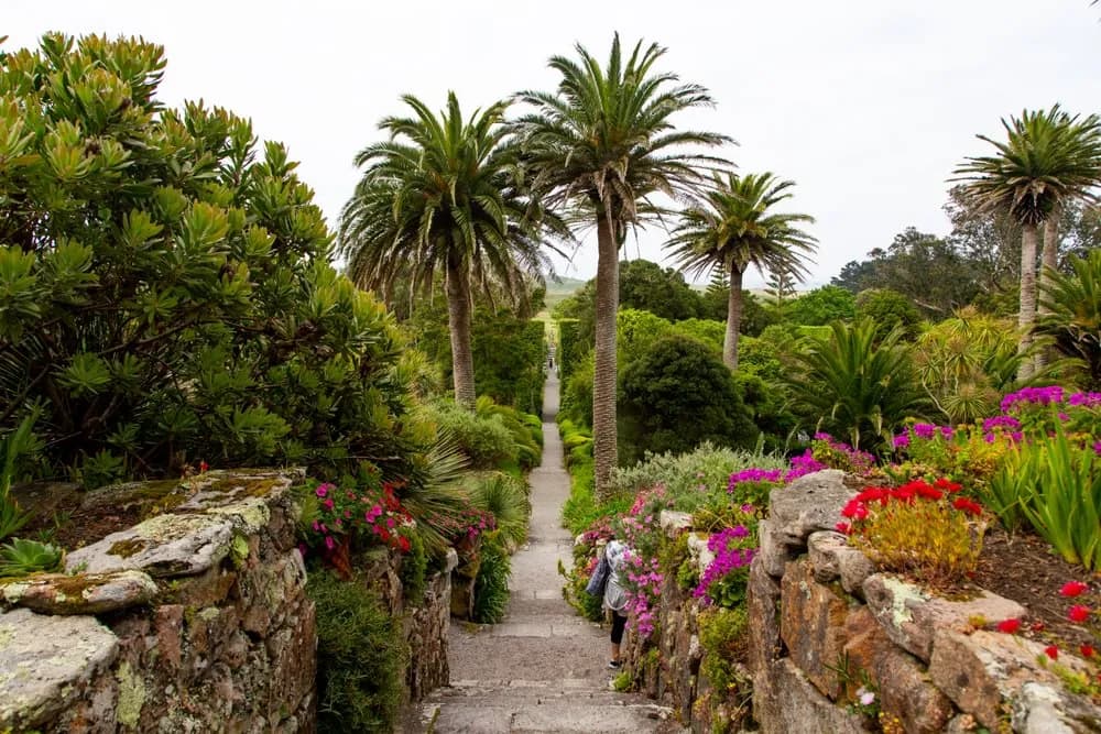 A stone pathway leads through lush greenery and vibrant flowers, flanked by tall palm trees under a cloudy sky.