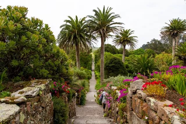 A stone pathway leads through lush greenery and vibrant flowers, flanked by tall palm trees under a cloudy sky.