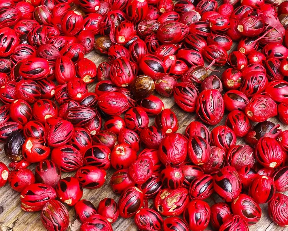 The Dish That Defines the Port - Eating Your Way Around the Caribbean