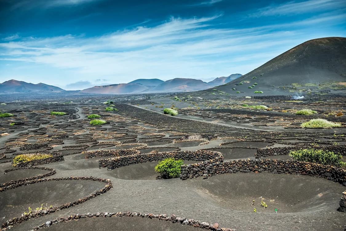Vineyard on Lanzarote, Canary Islands, Spain