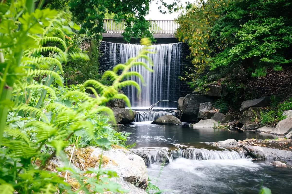 A Waterfall at Brest Botanical Garden in France