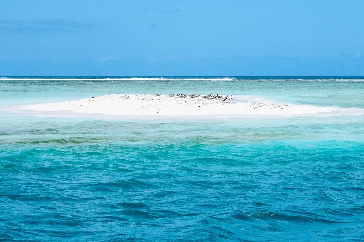 Under the Surface - The Caribbean's Best Reef Experiences for Every Level