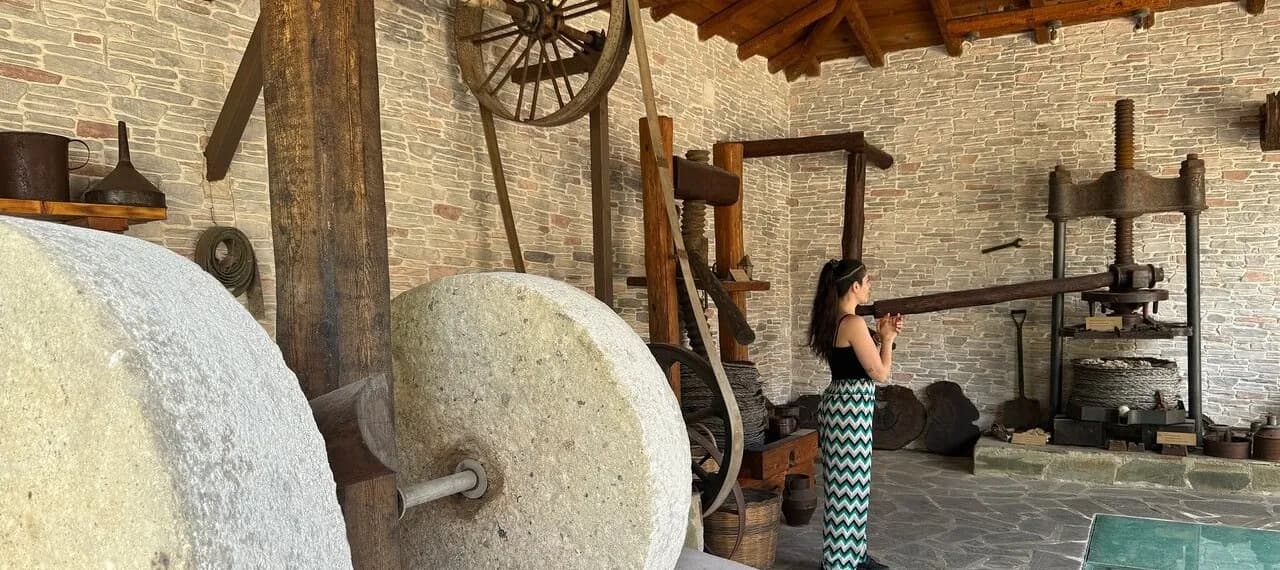 Corfu Olive Oil Experience