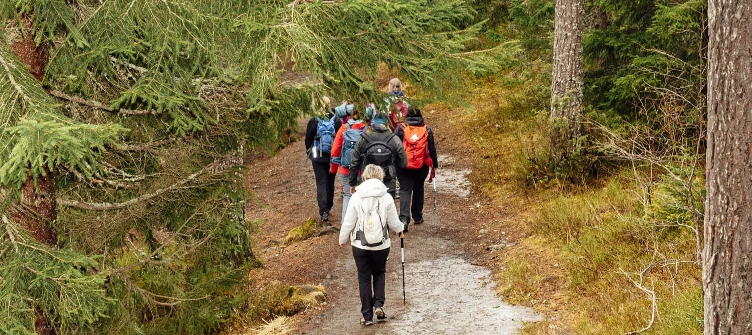 Hiking in Bymarka