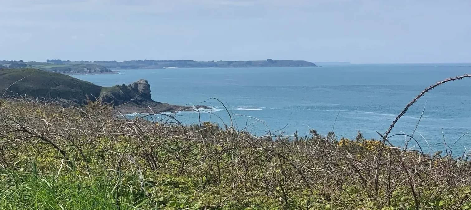 Scenic Emerald Coastal Drive