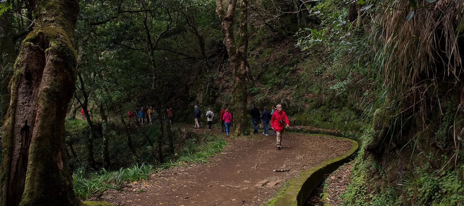 Levada Walk – Vale Paraiso
