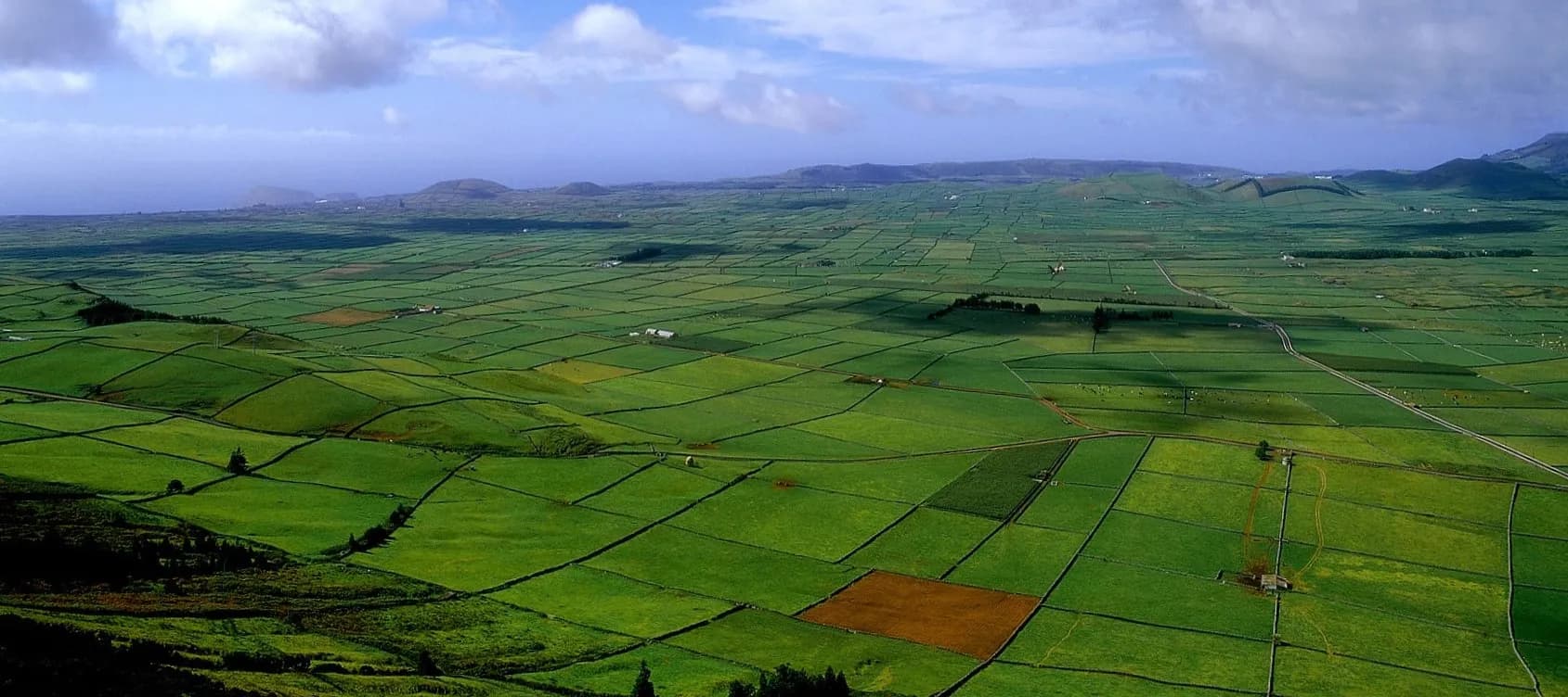 Island of Terceira @ Ease