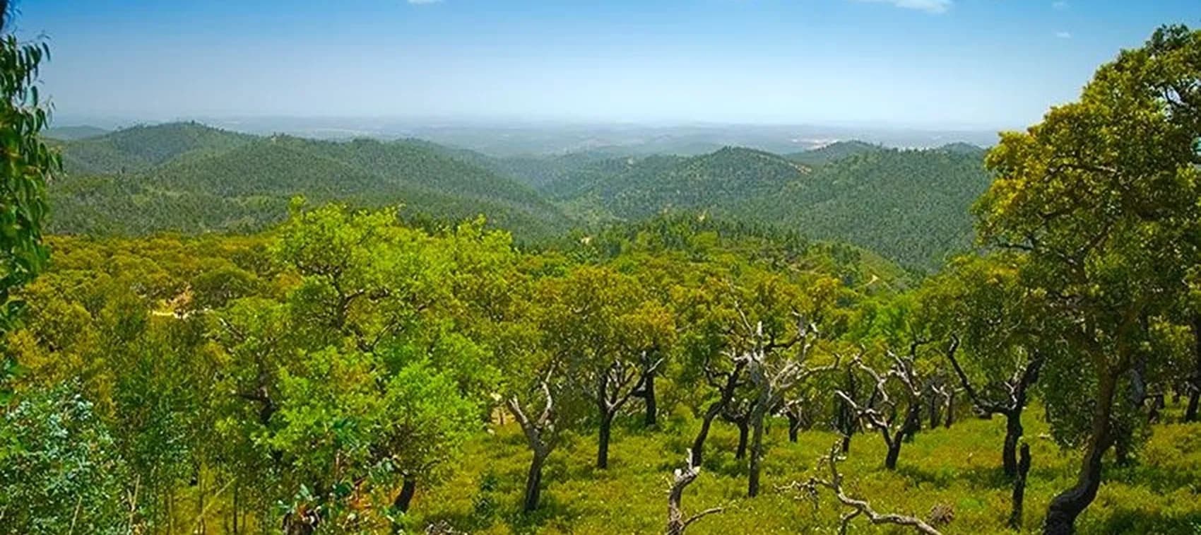 4x4 Adventure in the Monchique Mountains