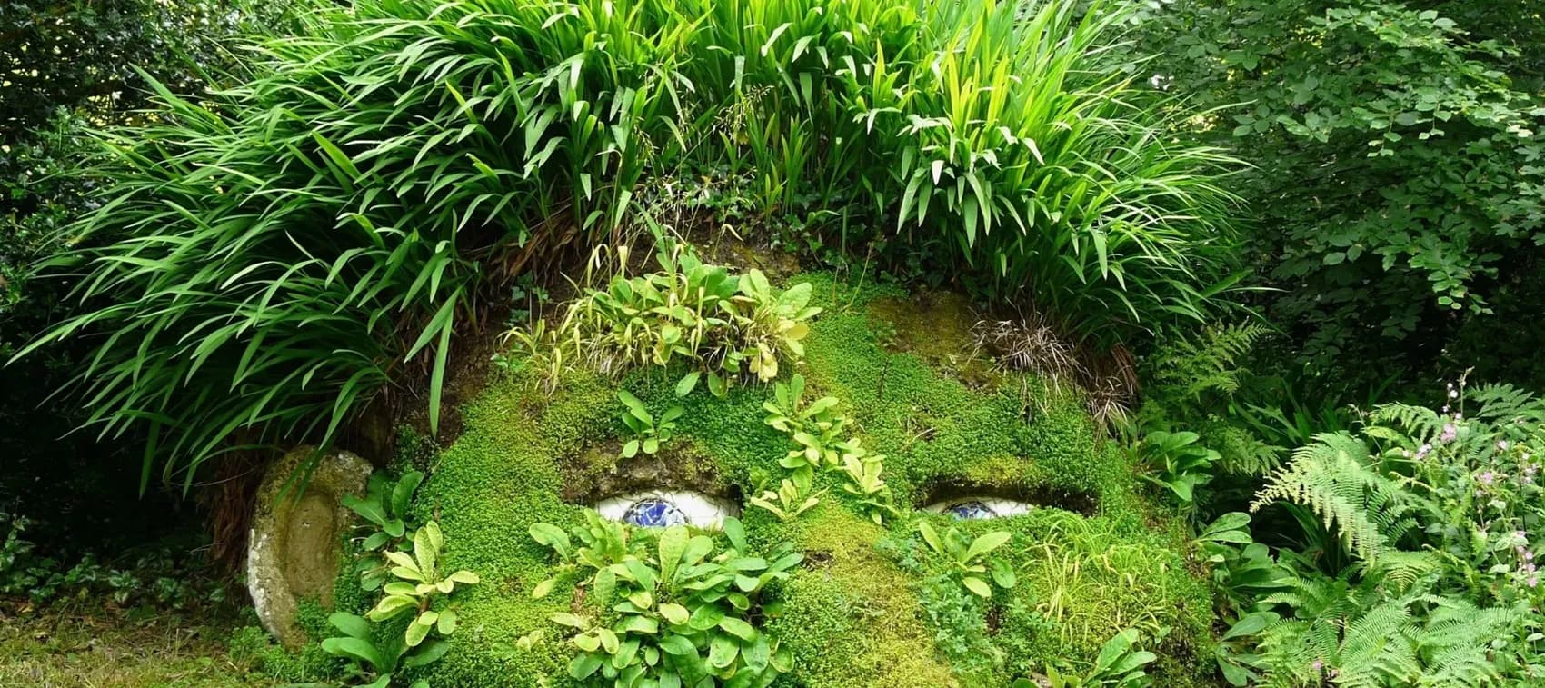 The Lost Gardens of Heligan