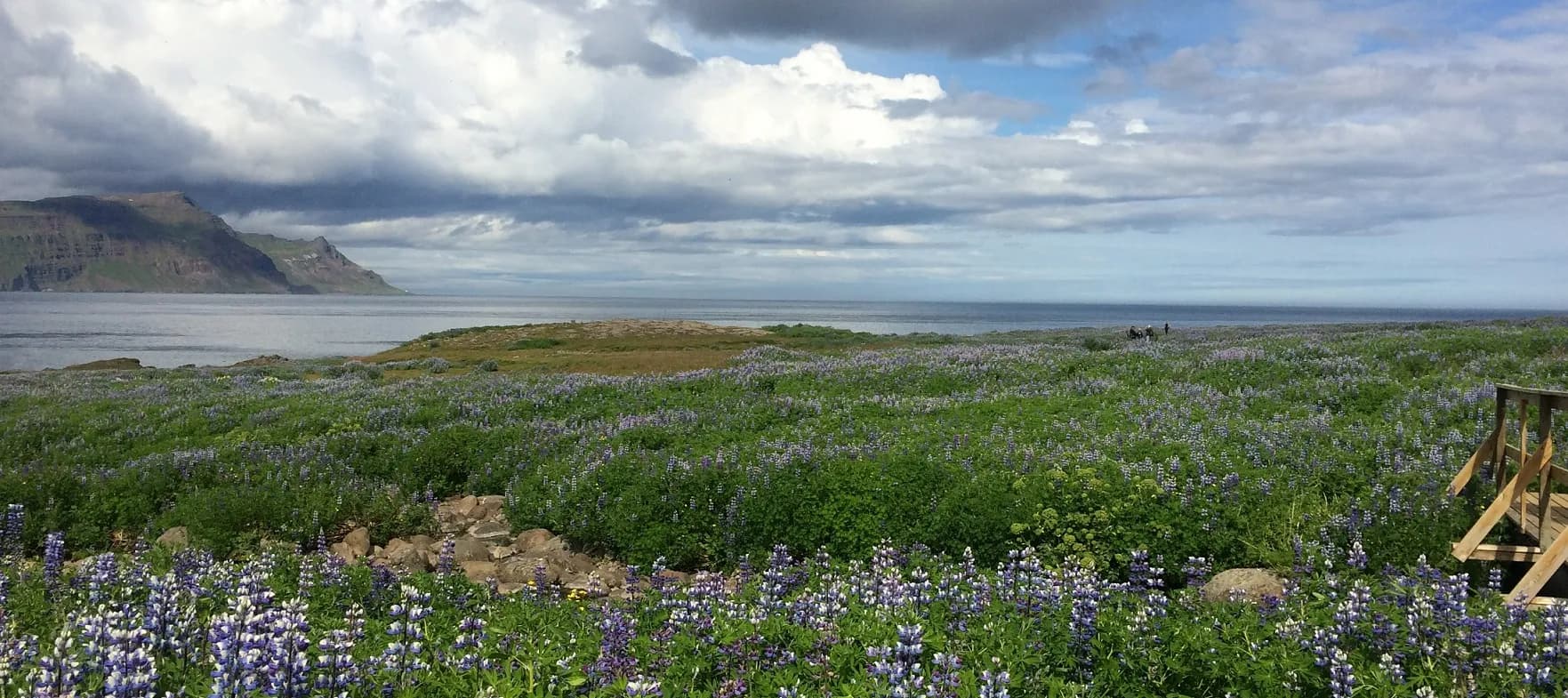 Skálanes Nature Reserve