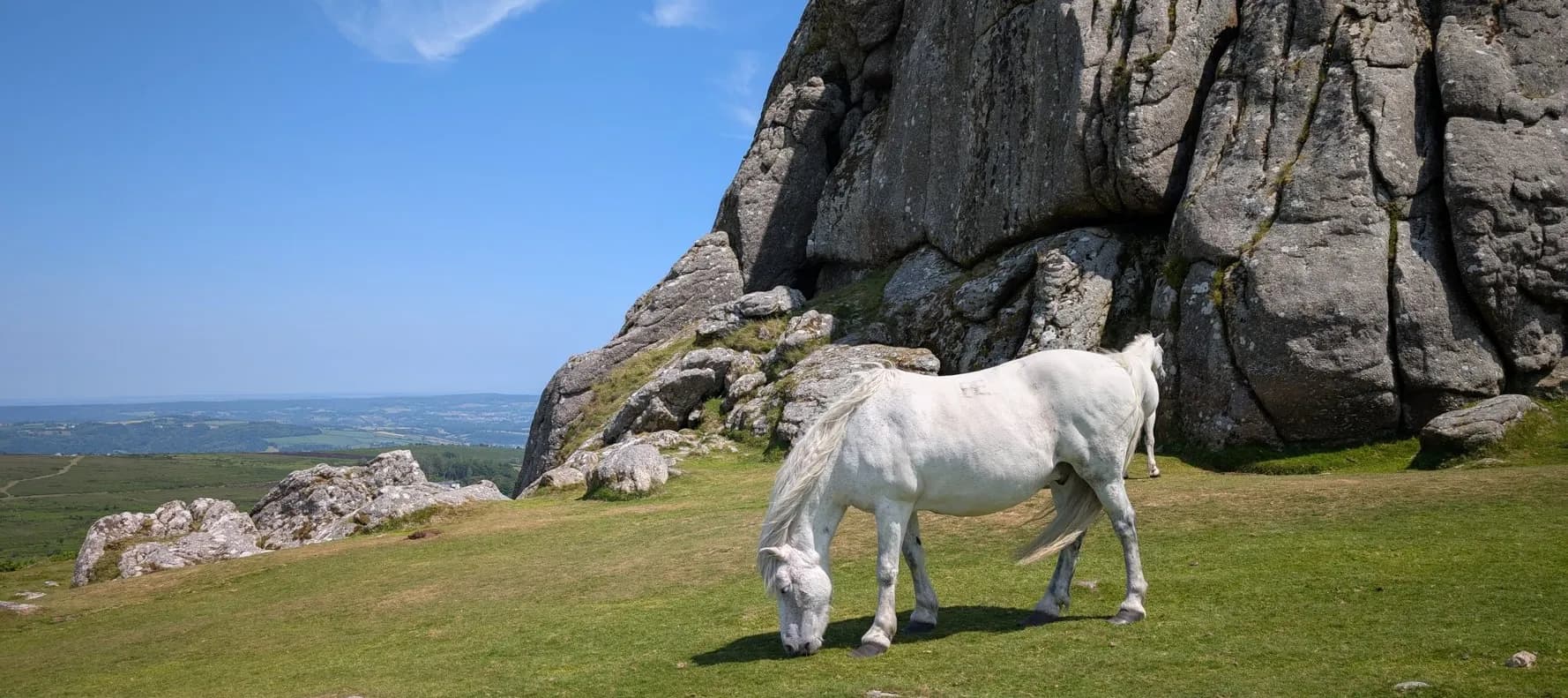 Scenic Devon & Cream Tea