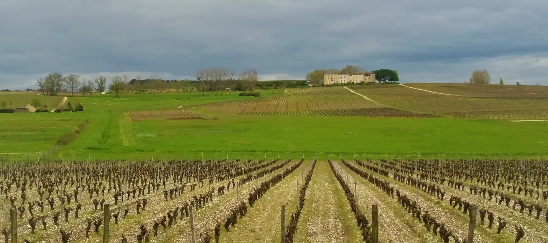 Visit a Bordeaux Vineyard